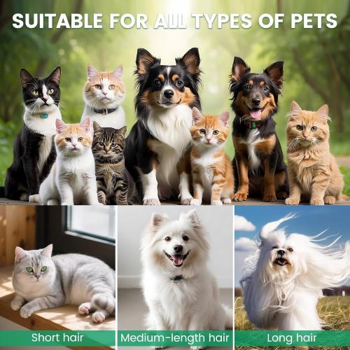 Dog Grooming Vacuum, Pet Grooming Kit with Clipper Nail Trimmer Grinder, 2.5L Dust Cup 7 Grooming Tools 11000Pa Dog Hair Vacuum for Shedding Grooming, Home Cleaning, PG50 Plus