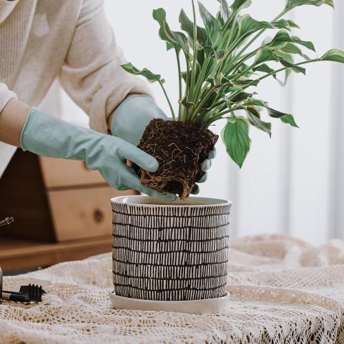 8 Inch Plant Pot: Ceramic Planter with Drainage Hole & Saucer for Indoor Outdoor Plants - Flowerpot with Bonded Tray for Home Office - Mixed Stripe Debossed