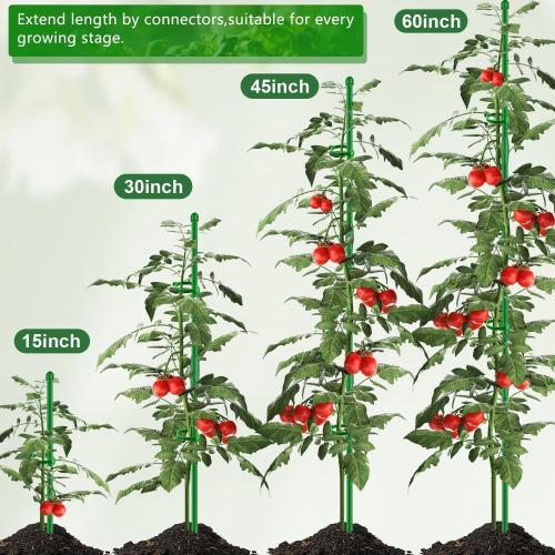 Plant Support Stakes 15 Inch for Indoor Plants,10 Pcs SupKing Orchid Sticks with Clips Garden Stake Extended for Outdoor Potted Tomato Rose Vegetables House Palnts Comes with 20 Plants Ties
