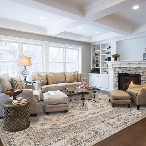 Rineflo-9'x12' Area Rugs,Machine Washable Rug for Living Room Dinner Room Bedroom,Bohemian Style Soft Non Slip Rug Carpet,Oriental Vintage Low Pile Large Area Rug(Brown, 9'x12')