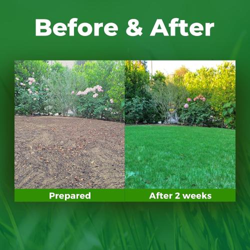Growtrax 200 Sq Ft Biodegradable Kentucky Blue and Perennial Rye Blend Grass Seed Mat - Mix & Fertilizer Mat for Ball Fields, Parks, & Residential Lawns