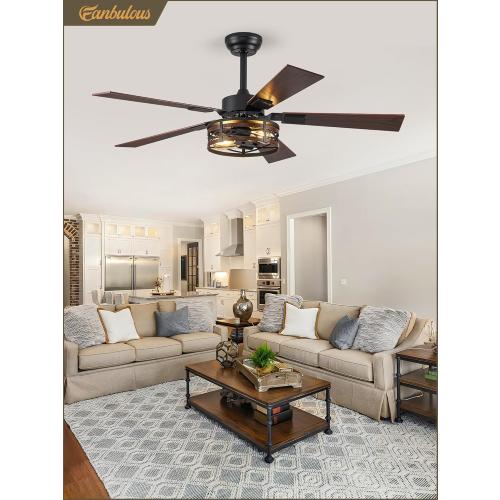 Fanbulous Farmhouse Ceiling Fans with Light, 48 Inch Bedroom Ceiling Fan with Lights, 6-Speed Adjustable, Quiet and Reversible DC Motor, Dual Finish 5 Blades, Rustic Caged Ceiling Fan for Living Room
