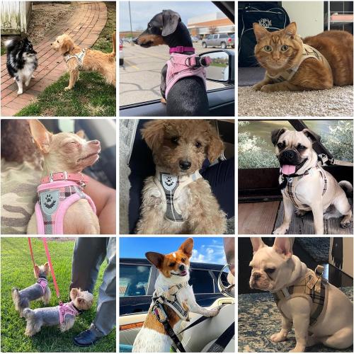 KOOLTAIL Dog Harness for Small Medium Dogs,Dog Harness and Leash Set, Step in No Pull Soft Mesh Padded Adjustable and Reflective Pet Vest Harness Puppy, Plaid Extra Harness for XS S Dogs, Beige S