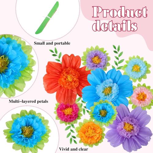 TaoBary Giant Tissue Paper Flowers, 20,10, Rainbow Color, 12 Pcs