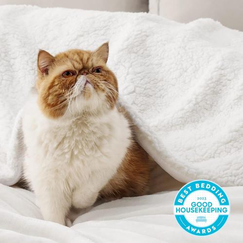 Bedsure GentleSoft Sherpa Fleece Throw Blanket for Couch - Thick and Warm Throw for Women and Men, Soft Fuzzy Plush Blanket for Winter, Non-Heated, White, Large