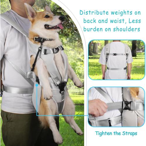 PetBonus Pet Front Dog Carrier Backpacks, Adjustable Pet Backpack, Legs Out Easy-fit Puppy Chest Carrier for Medium Small Dogs, Hands Free for Hiking, Cycling (Grey, M)