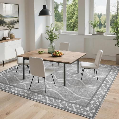 DweIke Area Rugs for Living Room, Machine Washable Bordered Rug for Bedroom, Luxury Rubber Backing (Non-Slip) Low Pile Throw Carpet for Dining Room Kitchen Home Decor, Grey