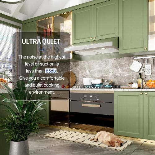 AROAN 30 inch Under Cabinet Range Hood with 900 CFM, Slim Stainless Steel Vent Hood for Kitchen with 4 Speed Soft Touch Switch, Reusable Aluminum Mesh Filters, Adjustable LED Lights (ANC02-30A)