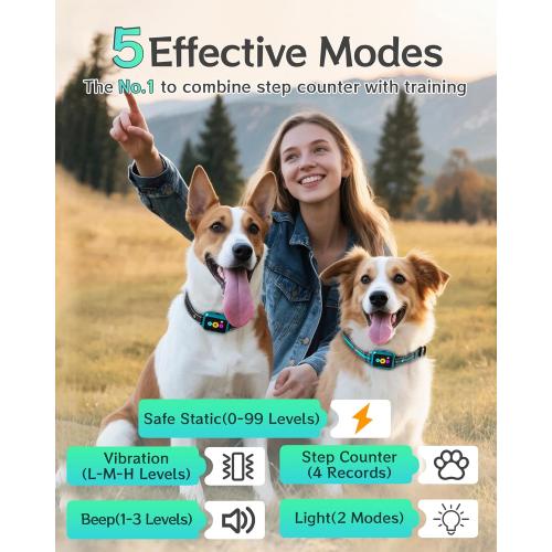 Dog Shock Collar for 2 Dogs 4200FT: Innovative Step Counter & Smart Color Screen Dog Training Collar with Remote 5 Modes, IP67 Waterproof Rechargeable Ecollars for Large Medium Small Dogs