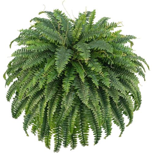 50 Artificial Boston Ferns, Fake Bush Plants, Large Faux Ferns with 96 Fronds for Outdoors Home Decor