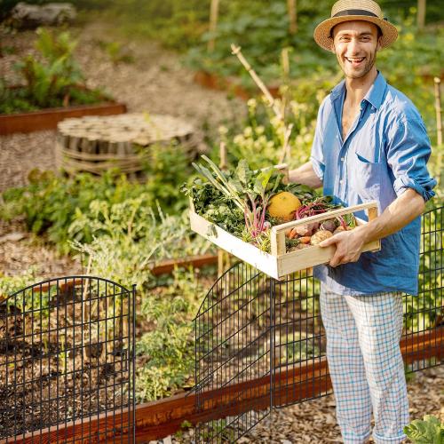 16 Panels No Dig Garden Fence with Gate, 32in x 38.6ft Decorative Dog Fence Outdoor for Yard, Tall Animal Barrier Fencing Rustproof Metal Garden Edging Border, Temporary Fencing for Outdoor, Patio