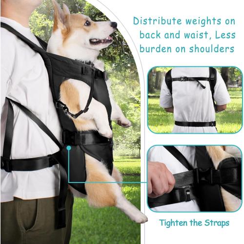 PetBonus Pet Front Dog Carrier Backpacks, Adjustable Pet Backpack, Legs Out Easy-fit Puppy Chest Carrier for Medium Small Dogs, Hands Free for Hiking, Cycling (Black, M)