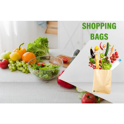 Qutuus 10x5x13 Kraft Paper Bags 100 Pcs Kraft Shopping Bags, Paper Gift Bags for Retail, Merchandise, Recycled Bulk Paper Sacks, Brown Paper Bags with Handles Bulk