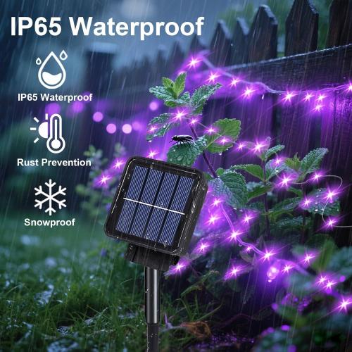 ZNYCYE Solar Waterfall Fairy Bunch Lights Outdoor Waterproof 200LEDs 8 Modes Watering Can Light, Purple Solar Powered String Lights Firefly Vine Garden Decorations Gardening Gifts for Mom