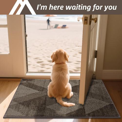 COSY HOMEER Entryway Rugs Doormat 32x48, Non-Slip Absorbent Polyester, Washable Rugs for Front Door, Dirty Paws & High Traffic Areas, Brown