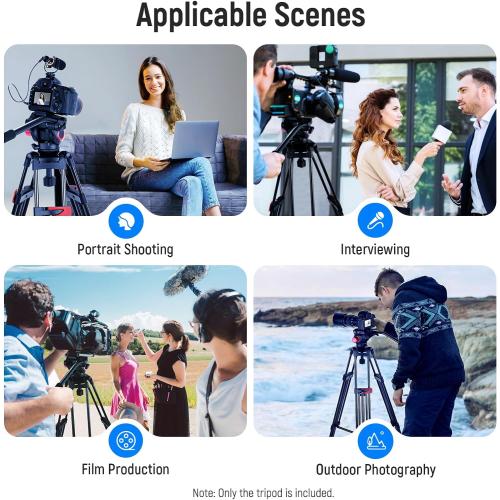 NEEWER 79/200cm Video Tripod, Heavy Duty Aluminum Alloy Camera Tripod Stand with 360° Fluid Drag Head, QR Plate Compatible with Canon Nikon Sony and Other DSLR Camera Camcorder, Load Up to 17.6lb/8kg