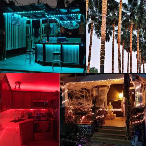 Minetom Color Changing Rope Lights Outdoor, 33FT 100 LED String Lights with Plug & Remote, Waterproof Christmas Light Outdoor Decoration, Twinkle LED Rope Light for Outside Indoor Bedroom,16 Colors