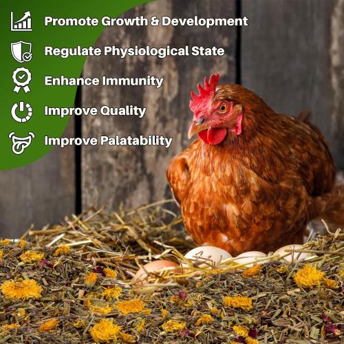 RAINFLOW Chicken Nesting Herbs - 10oz Natural Dried Herb Blend for Coop Comfort,Egg Laying Hens,and Cozy Roosting,Nesting Box Pads and Winter Insulation,Bedding Supplies for Chicks