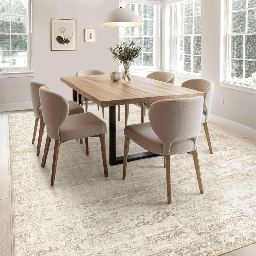 Large Area Rug Living Room Rugs - Washable Neutral Modern Abstract Soft Thin Rug Indoor Floor No Slip Rug Carpet for Bedroom Under Dining Table Home Office Decor - Beige/Brown