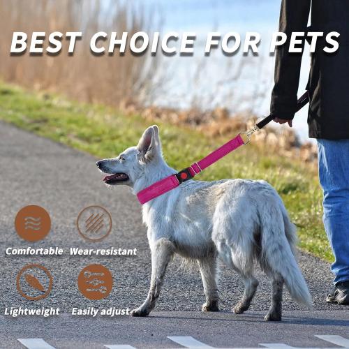 No Pull Martingale Dog Collar for Large Medium Small Dogs, Heavy Duty Nylon Reflective Adjustable Anti Pull Slip Collar with Buckle for Training Walking L Hot Pink