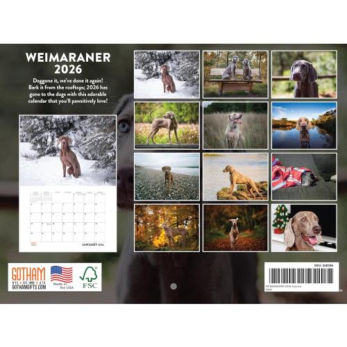 Weimaraner Calendar 2026 Wall 12 Month Monthly Weimaraners Gifts For Weimaraner Lovers Women Men Mom Dad | American Made In The USA