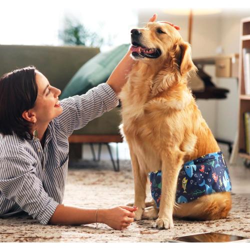 wegreeco Small Dog Diapers Male,Reusable Belly Bands for Male Dogs,Washable Doggie Puppy Diapers Wraps,Medium Large Size(5 Pack Small)