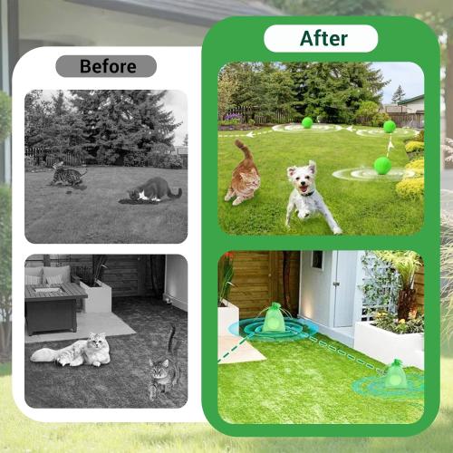 Cat Deterrent Outdoor, Natural Cat Deterrent Keep Cats Out of Yard Permanently, Cat Essentials for Indoor Cats Anti Scratch for Furniture Urination Garden Dog, Humane Educational Training Aids, 12 Pcs