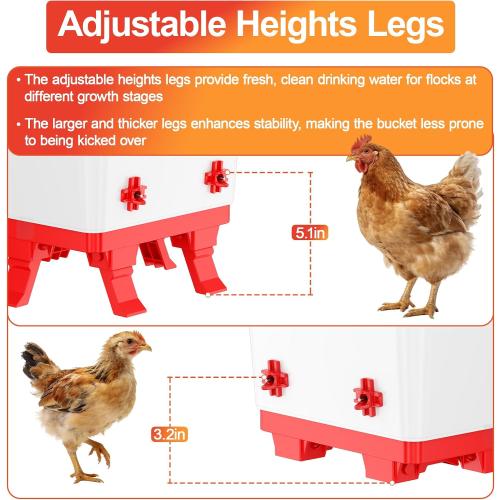 5.0 Gal Chicken Waterer Bucket with 4 Horizontal Water Nipples | Height-adjustable, Anti-roost Cone for Backyard Chicken Flocks
