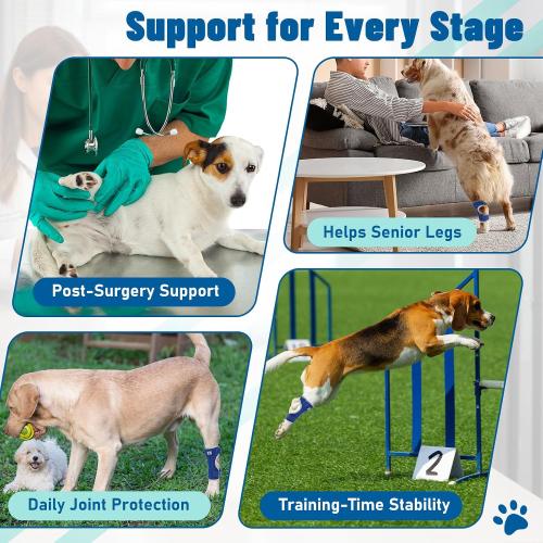 Dog Leg Braces for Back Leg- Hock and Ankle Joint Support Brace for Rear Legs with 2 Metal Strips, Reflective Edging for Sprain, Injury, Arthritis, Wound Recovery,Blue,L