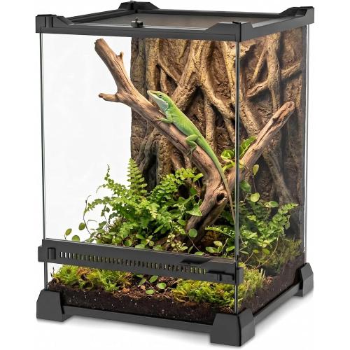 8x8x12 Reptile Terrarium, Single-Door Glass Arboreal Vivarium for Small Arboreal Lizards Such as Small Day Geckos, with Lock, Cable Port & Waterproof Deep Base Below Front Door