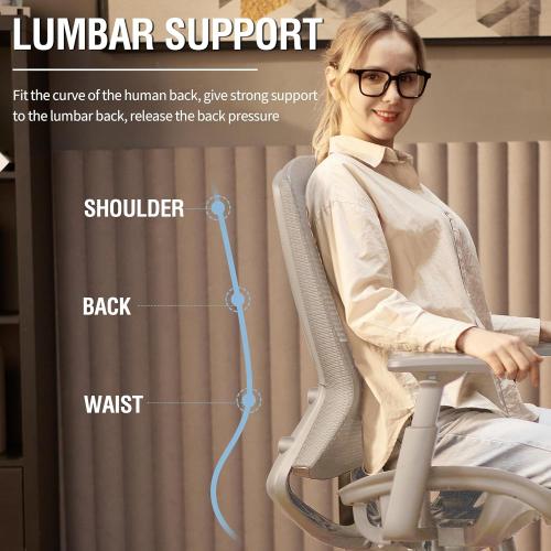 ELABEST Mesh Office Chair,Ergonomic Computer Desk Chair,Sturdy Task Chair- Adjustable Lumbar Support & Armrests,Tilt Function,Comfort Wide Seat,Swivel Home Office Chair (Grey Frame Grey Mesh)