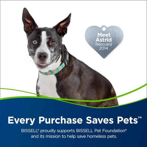 Bissell Pet Hair Eraser Turbo Rewind Vacuum, Lightweight, Automatic Cord Rewind, Tangle-Free Brush Roll, Headlights, Powerful Pet Hair Pickup, SmartSeal Allergen System, Blue, 27909