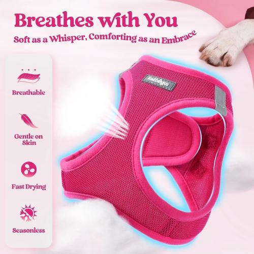Size M rabbitgoo Dog Harness Small Sized and Leash Set, Step in Soft Light Puppy Vest, Breathable Mesh Pet Harness, Reflective for Safe Easy Walking, Orange and Blue