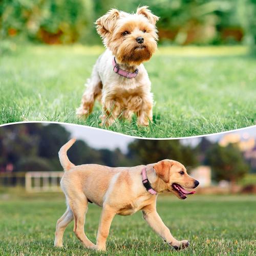 Reflective Dog Collar Padded with Soft Neoprene Breathable Quick Release Basic Dog Collars for Medium Dogs Pink Girl