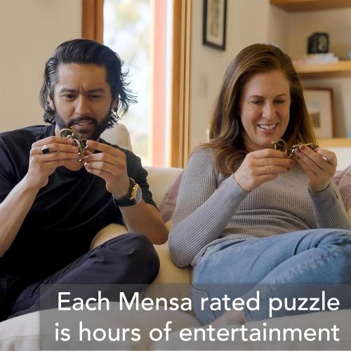 BePuzzled |Hexagon Hanayama Metal Brainteaser Puzzle Mensa Rated Level 4, for Ages 12 and Up