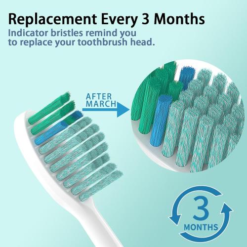 Toothbrush Replacement Heads for TAO Clean Electric Toothbrush, 10 Pack