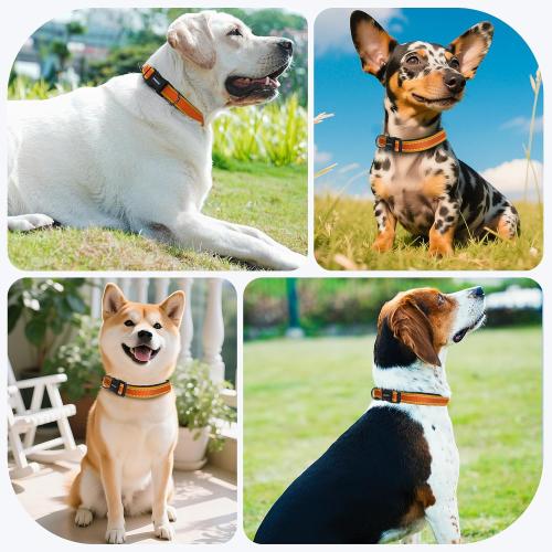 Kazazoo Reflective Dog Collar with Soft Padding Dog Collar for Medium & Small Dogs, No Pull, Heavy Duty, Adjustable Nylon Collar with Quick-Release Buckle, Walking Training-Orange-XS
