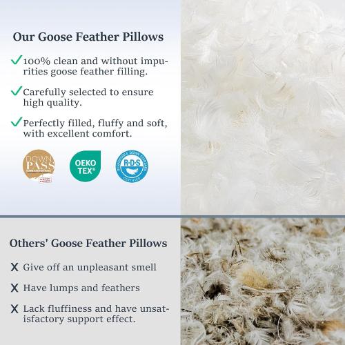 COZSINOOR Goose Down Feather Pillows Queen Size Set of 2