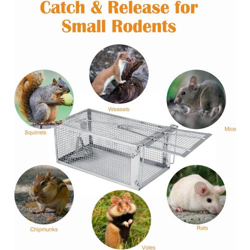 Humane Rat Trap, Chipmunk Rodent Trap that Work for Indoor and Outdoor Small Animal - Mouse Voles Hamsters Live Cage Catch and Release 1 Pack