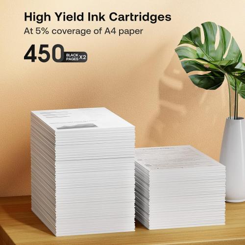 Remanufactured Ink Cartridge Replacement for Canon 245XL for PIXMA MG2420 MG2520 MG2522 MG2525 MG2920 MG2922 MG2924 MG3020 MG3022 MG3029 TR4520 TR4522 TS3120 TS202 Printer (Black 2 Pack)