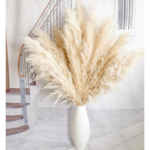 11pcs 40'' Pampas Grass Tall Decor - Pompas Floral, Tall Pampas Grass for Floor Vases, Living Room Floor, Floor Plants, Plumas para, and Grass Wall Decor