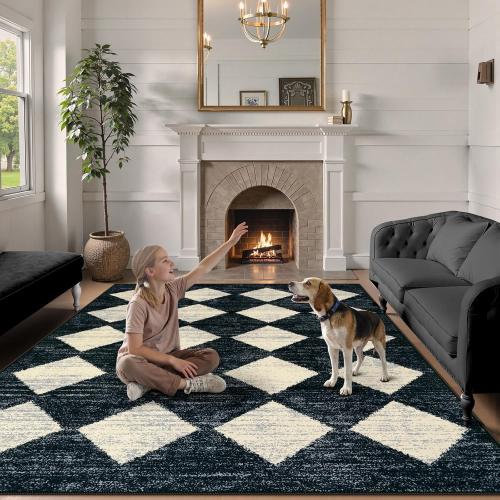 Lahome Moroccan Trellis Area Rug - 5x7 Black Washable Large Rugs for Bedroom Living Room Mat, Checkered Soft Non Slip Stain Resistance Indoor Accent Carpet for Dining Room Coffee Table