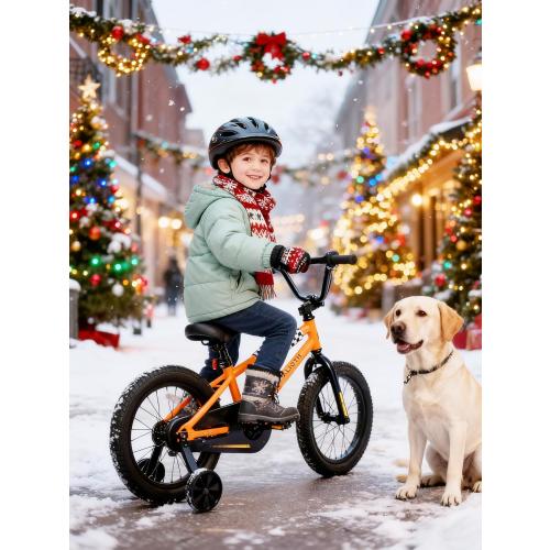 Size 12 14 16 20 Inch Color orange Kids Bike BMX Style Bicycle with Training Wheels for 2-14 Years Old Toddlers Boys Girls Coaster Brake Multiple Colors