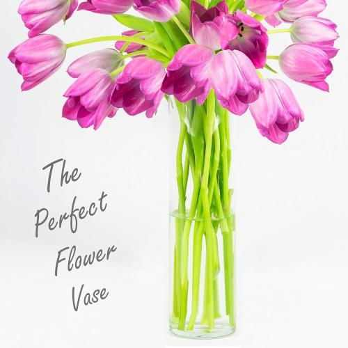CYS EXCEL Cylinder Clear Glass Vase (H:20 D:6) | Multiple Size Choices Glass Flower Vase Centerpieces | Hurricane Floating Candle Holder Vase