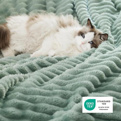 Bedsure Sherpa Throw Blanket for Couch - Super Soft, Cozy Fleece Thick Warm Blanket for Winter, GentleSoft Plush & Fluffy Christmas Throw Gift for Women, Room Decor, Sage Green, 50x60 Inches