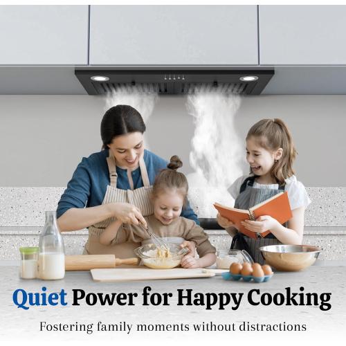 FIREGAS Black Range Hood Insert 30 Inch, 600 CFM Ducted/Ductless Convertible Built-in Kitchen Vent Hood, Stainless Steel Stove Hood with 3 Speed Exhaust Fan & Baffle Filters