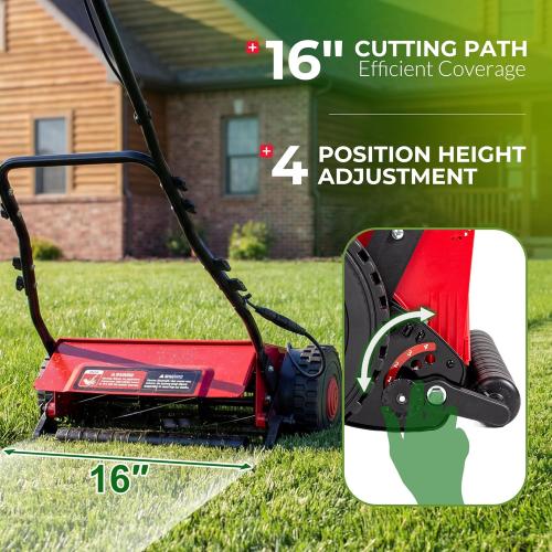 Walensee 16 Cordless Electric Reel Lawn Mower, Battery Powered Push Mower with 2×36Wh Batteries, 380W Motor 22500RPM, Precision Reel Lawn Mower for Small Yard, Garden & Golf Green