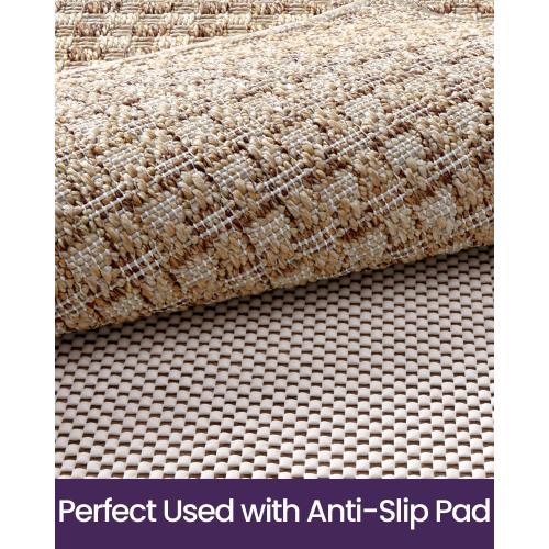 DEXI Dirt Trapper Door Mat, 31x48 Washable Doormat, Dirt Resistant and Absorbent, Easy Clean Low-Profile Floor Rugs for Entryway, Front Door, and Inside Entrance, Checkered Beige