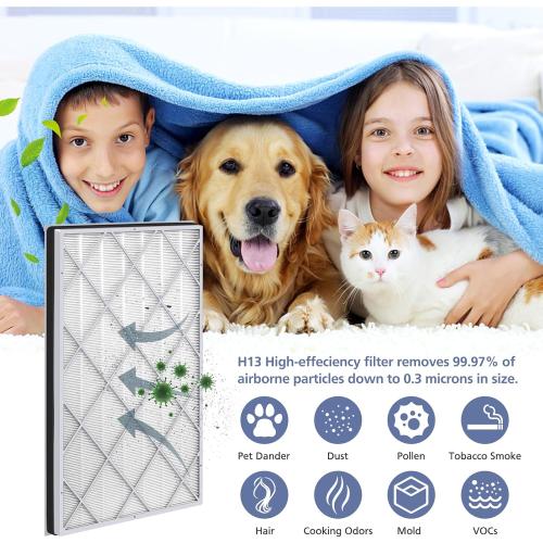 HE601 H13 True HEPA Replacement Filt-er Compatible with Shark Air Purifi-er 6 (HE601 & HE602), #HE6FKPET, True HEPA for Shark HE601 Air Purifi-er Filt-er Replacement, 1 Pack