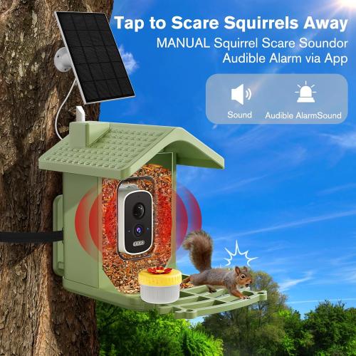 Smart Bird Feeder with Camera Solar Powered, AI Birds Species Identification, 2.5K HD Video Bird House with Camera for Outside, Weatherproof Design Ideal Gifts for Valentine's Day, Bird Lovers, Green